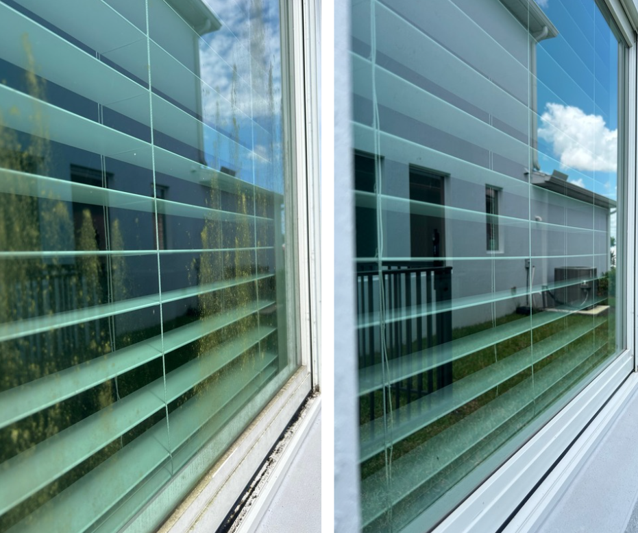 Close-up of window blinds on a house, with reflections of the sky and trees in the glass