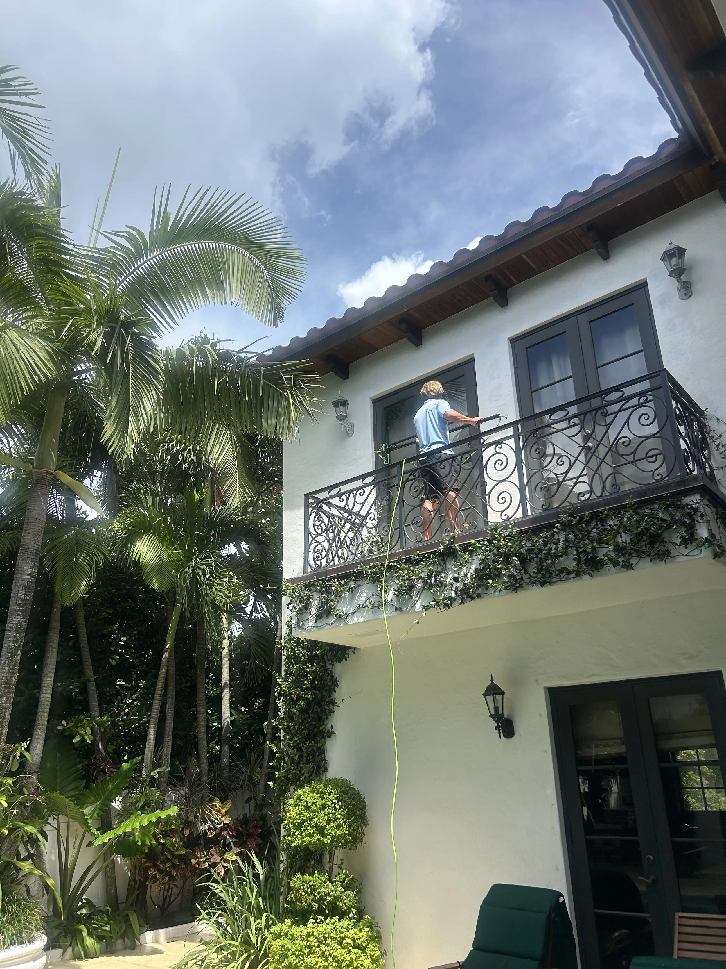 Person standing on balcony of a house, trimming a tree or shrub, with greenery, potted plants, and a clear sky in the background.