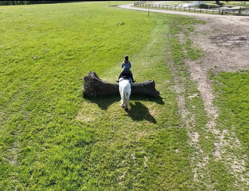 Child riding a white horse over a large fallen tree log in a grassy field.