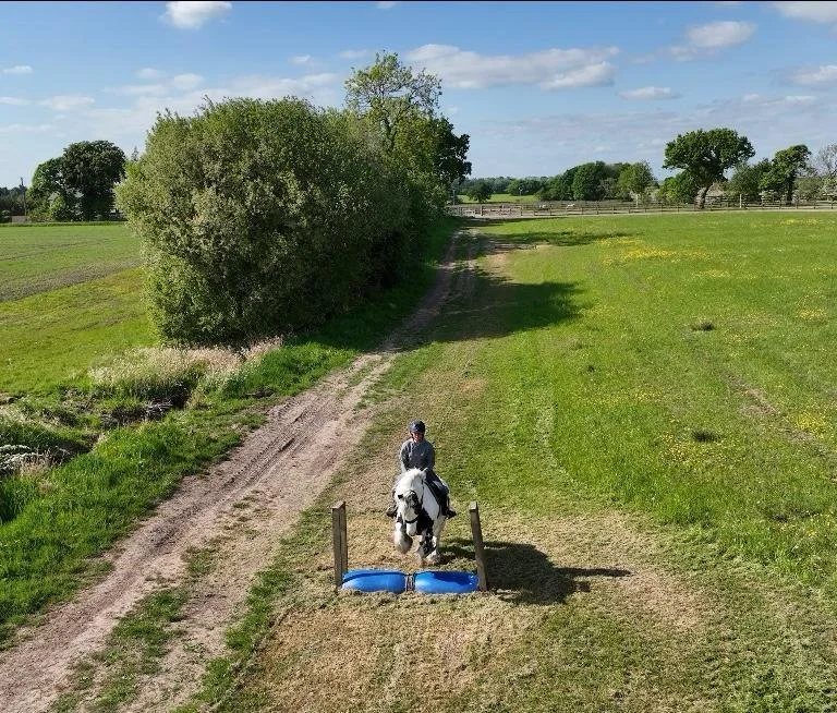 Person riding a white horse jumping over blue barrels in a grassy field on a sunny day.