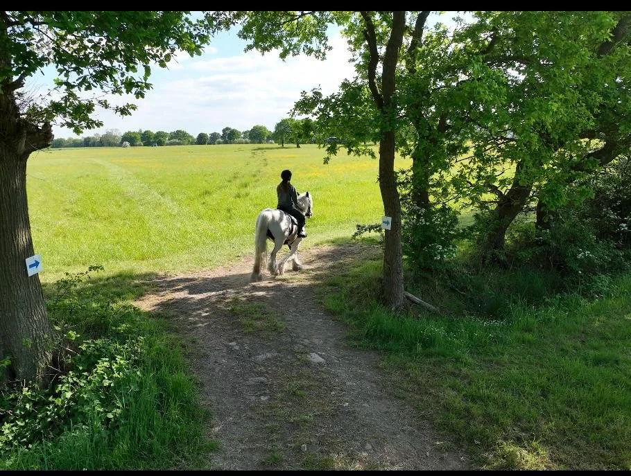 Person riding a white horse on a dirt trail through a lush green field, with trees and blue sky overhead.