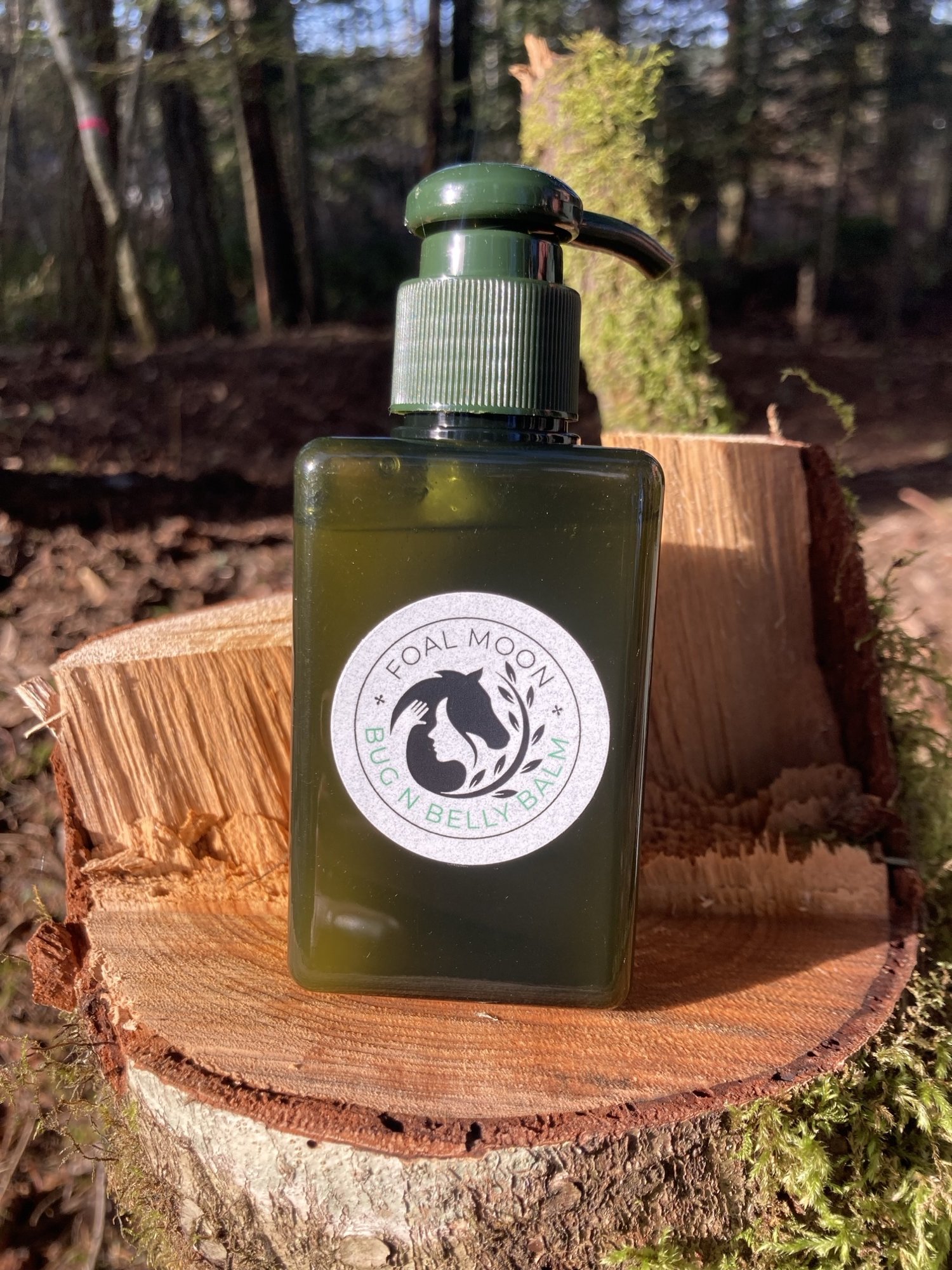 Bug n Belly stump.jpeg