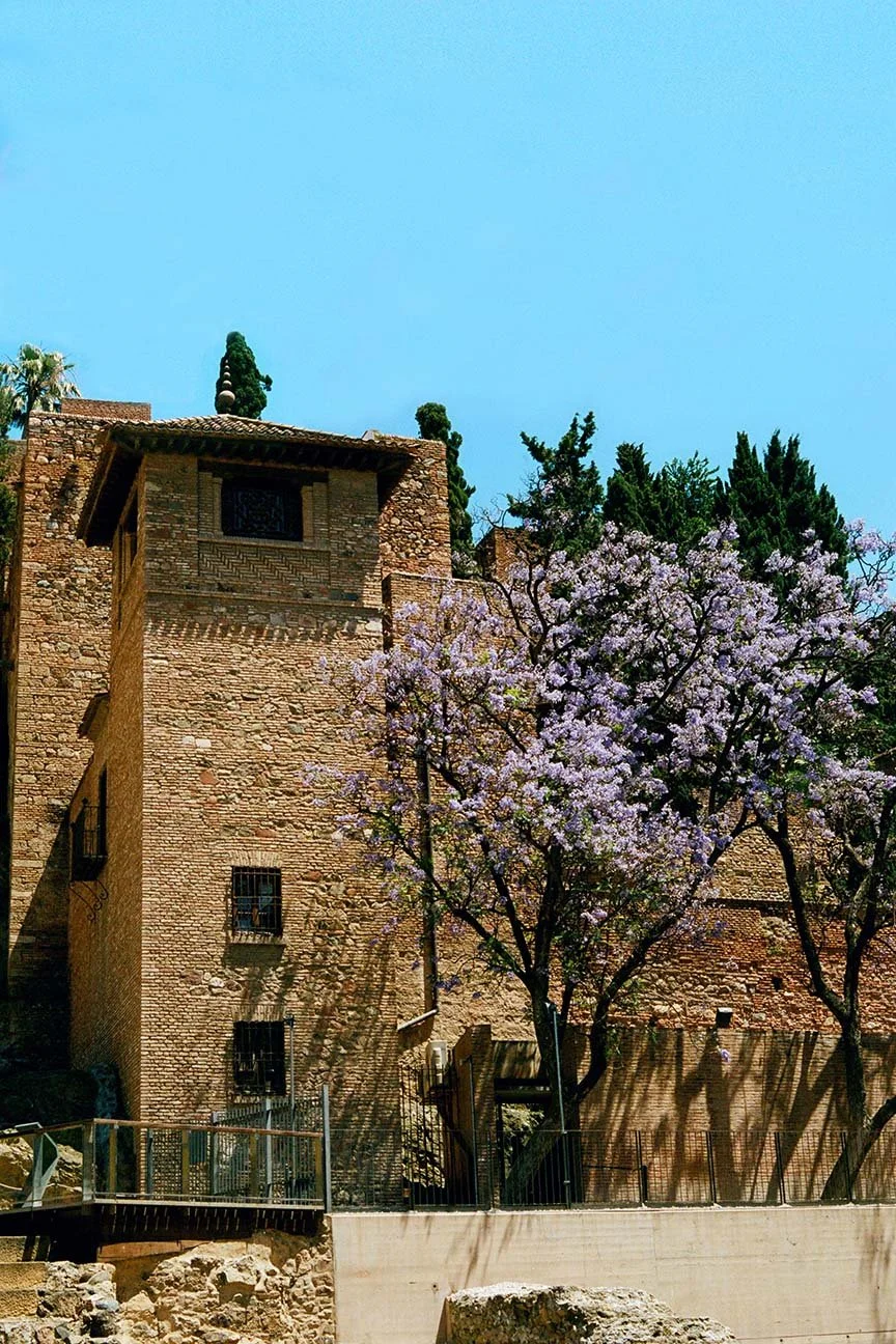 000051610010web copy.jpg