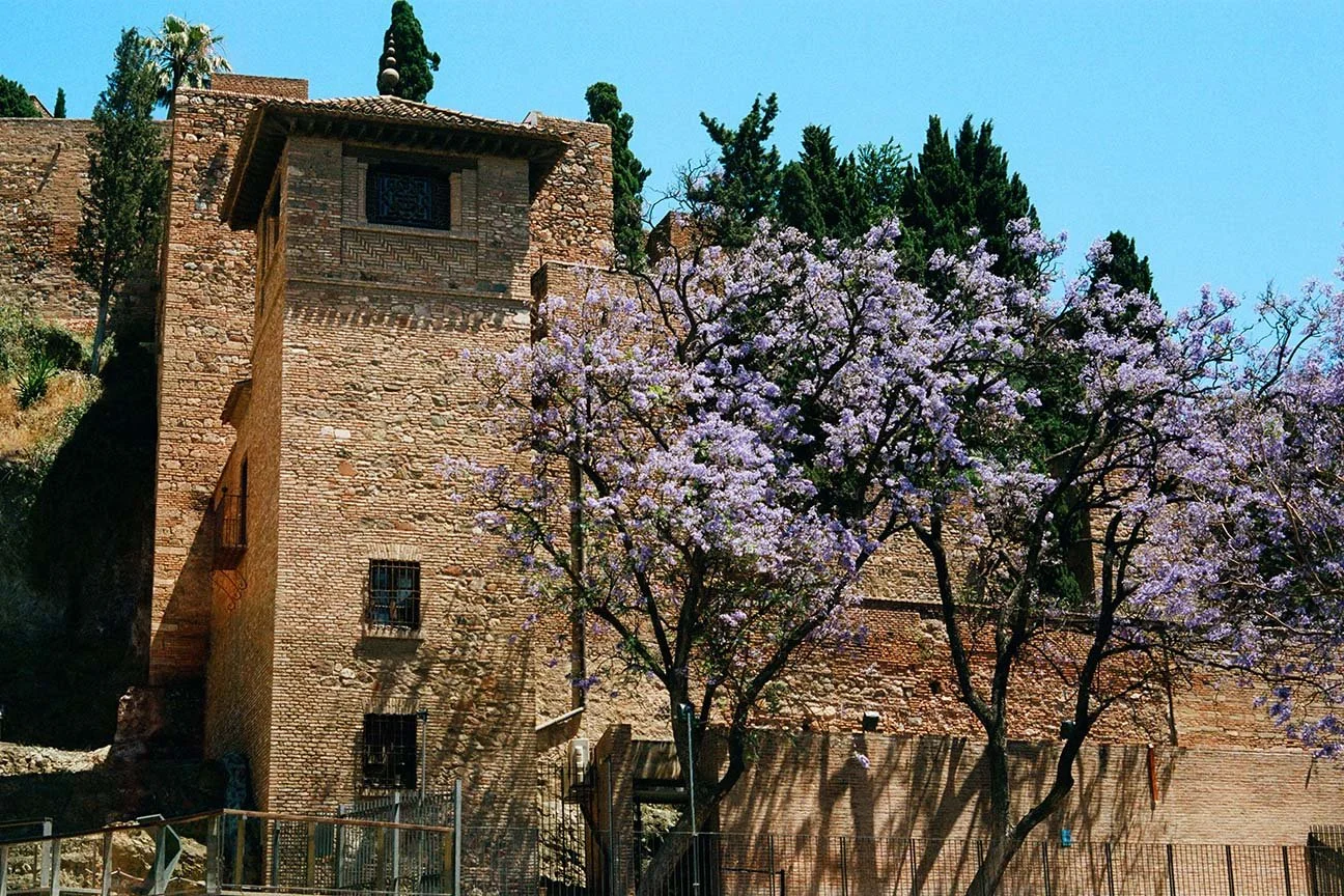 000051610011web copy.jpg