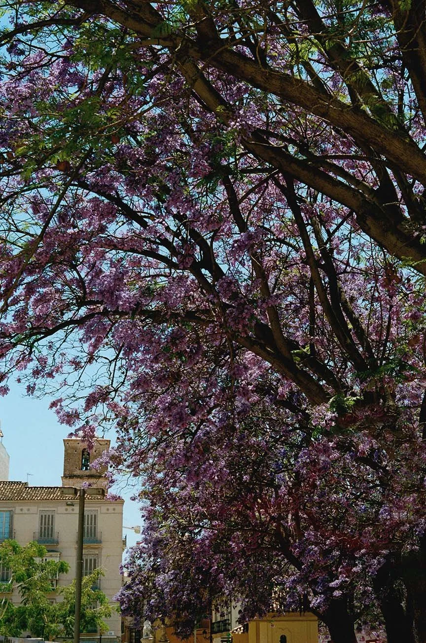 000051610009web copy.jpg