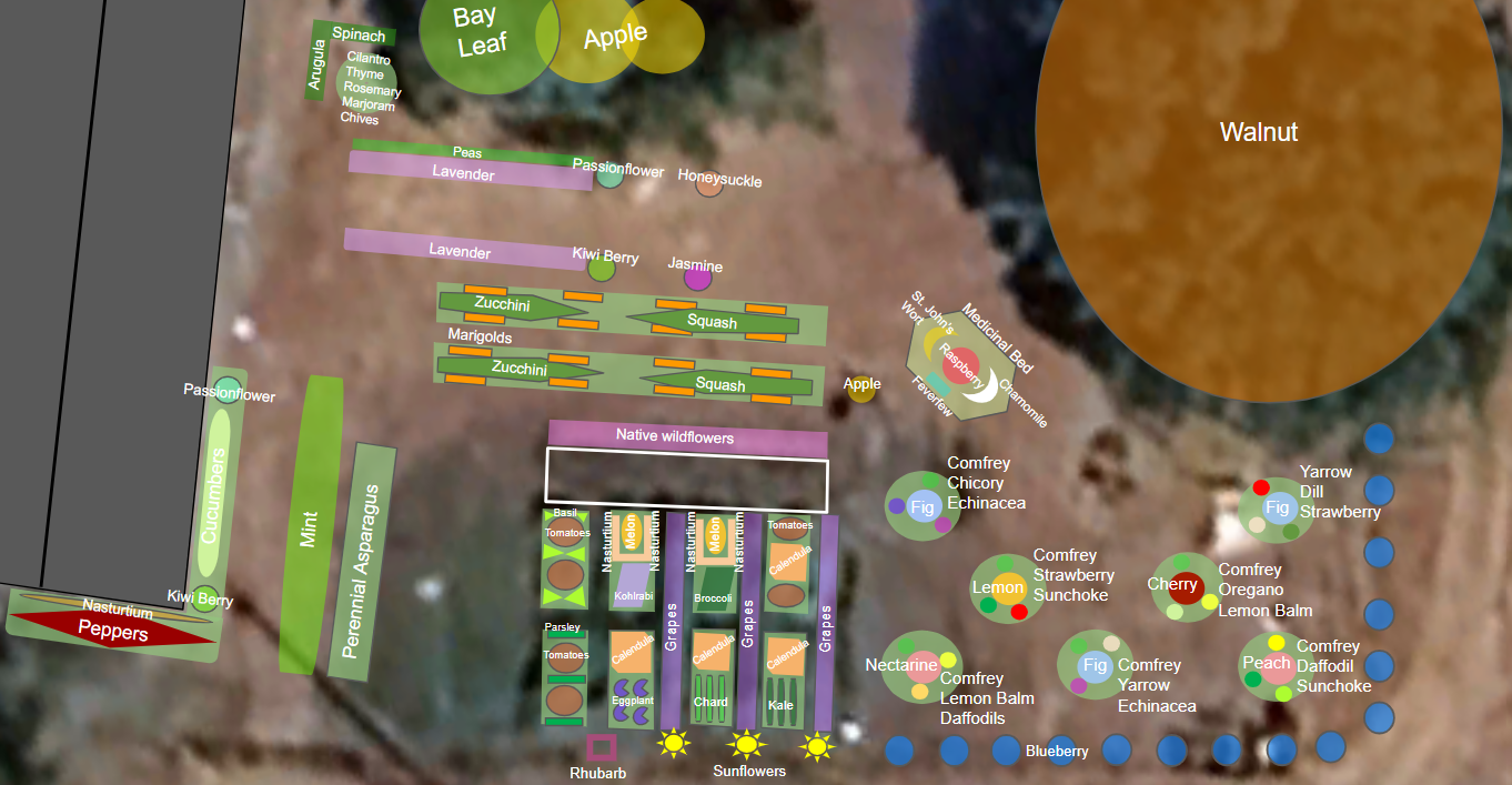 Proposed Food Forest Layout (closer view)