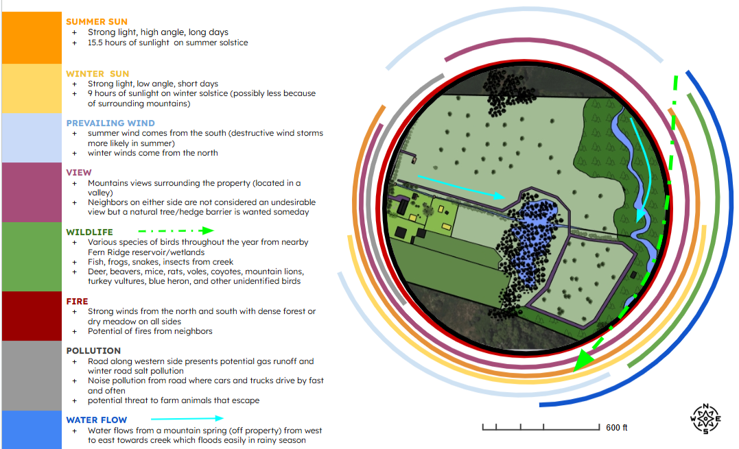 Environmental Impact Study