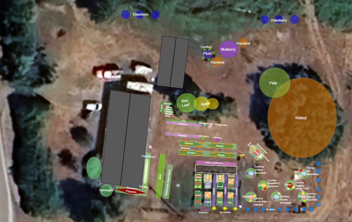Proposed Food Forest Layout