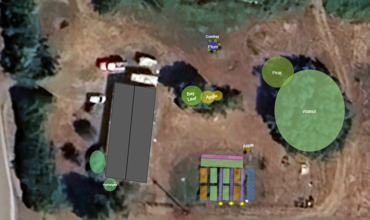 Existing Garden Layout