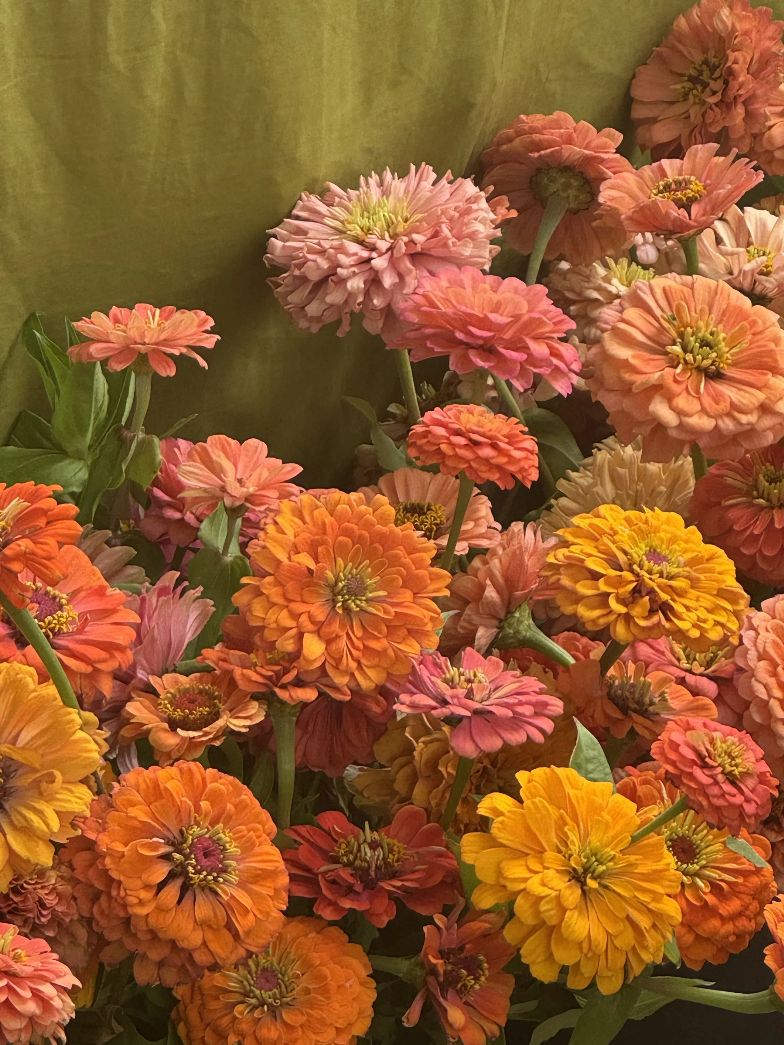 A bouquet of orange, pink, and yellow flowers with green leaves against a green fabric background.