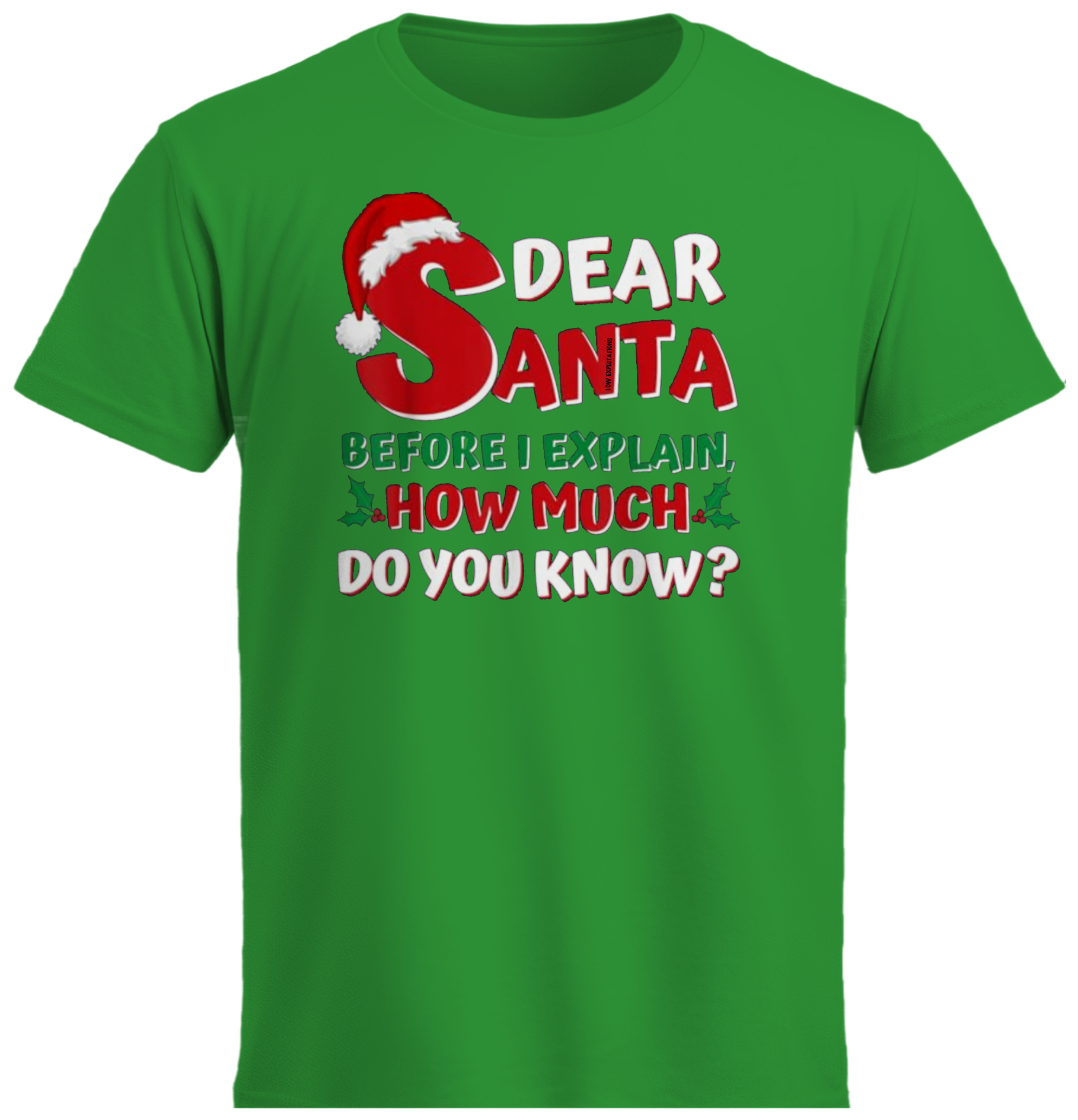 Dear Santa, before I explain how much do you know?