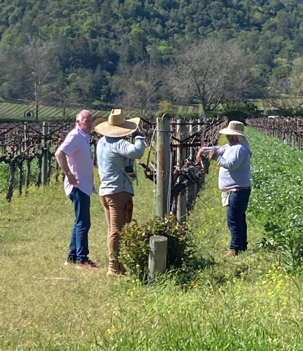 New Year, New Wine Knowledge! Take a Deeper Dive into the World of Wine