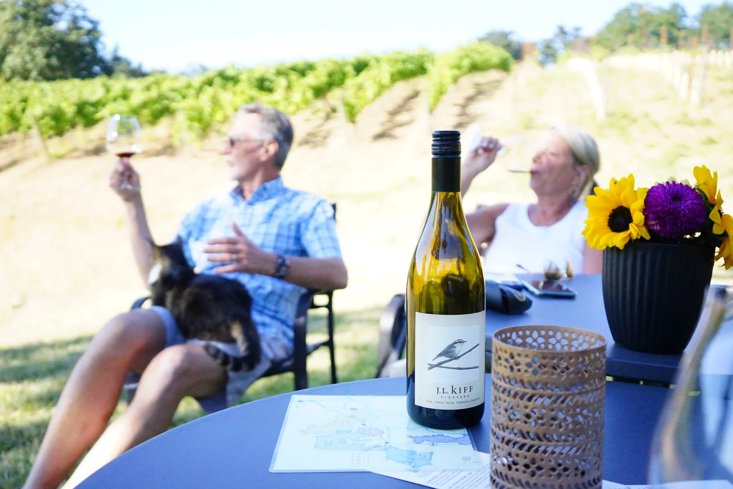 Willamette Valley Uncorked: A Taste of Oregon's Finest