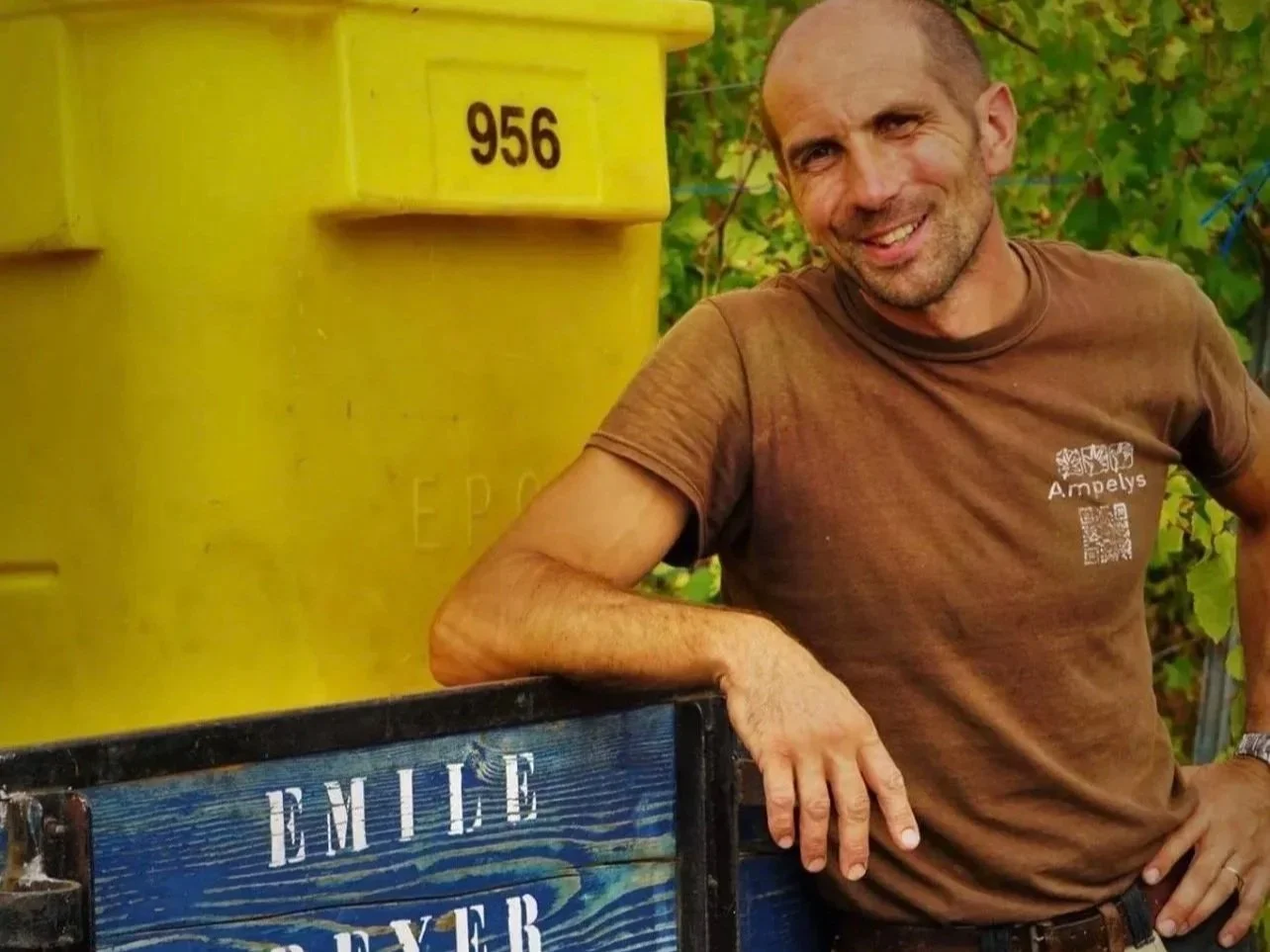 Rooted in Alsace: The Enduring Legacy of Domaine Emile Beyer