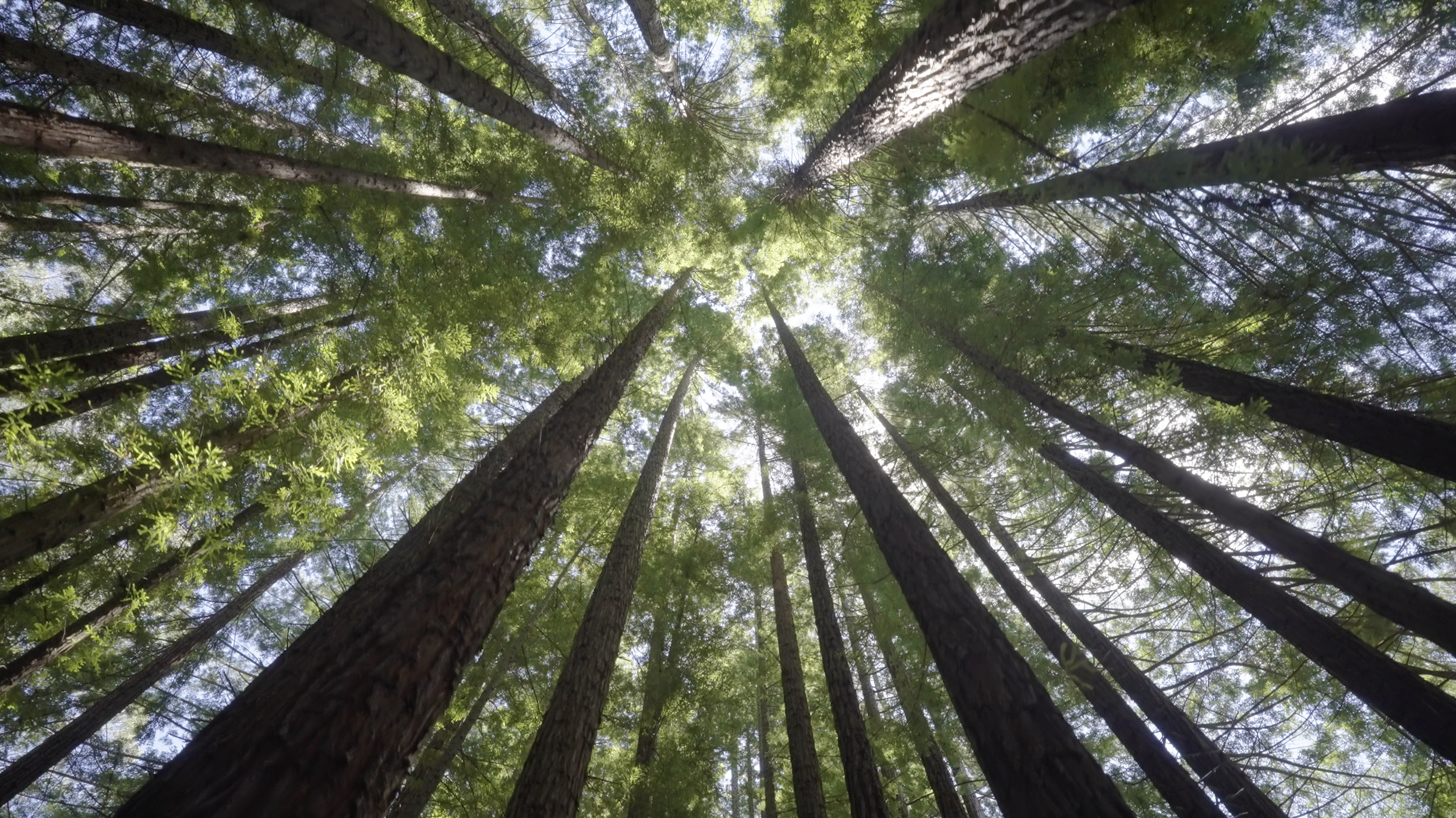 Screenshot 2026-03-17 at 14.51.38.png