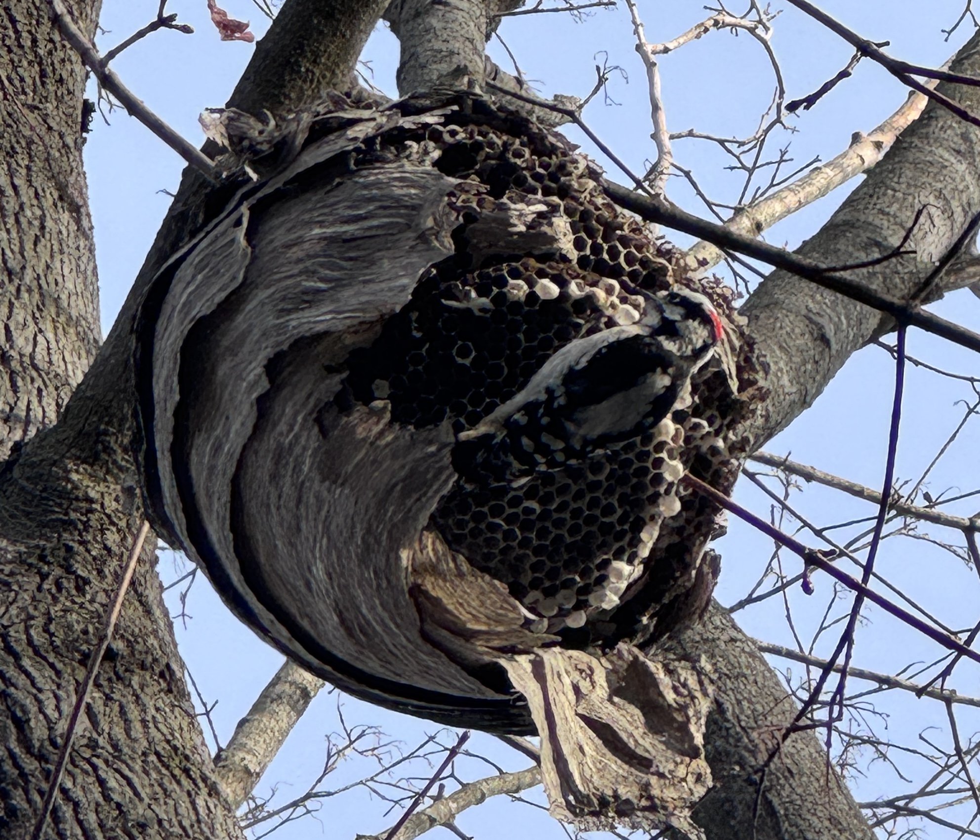 Spiritual Practices, a List 