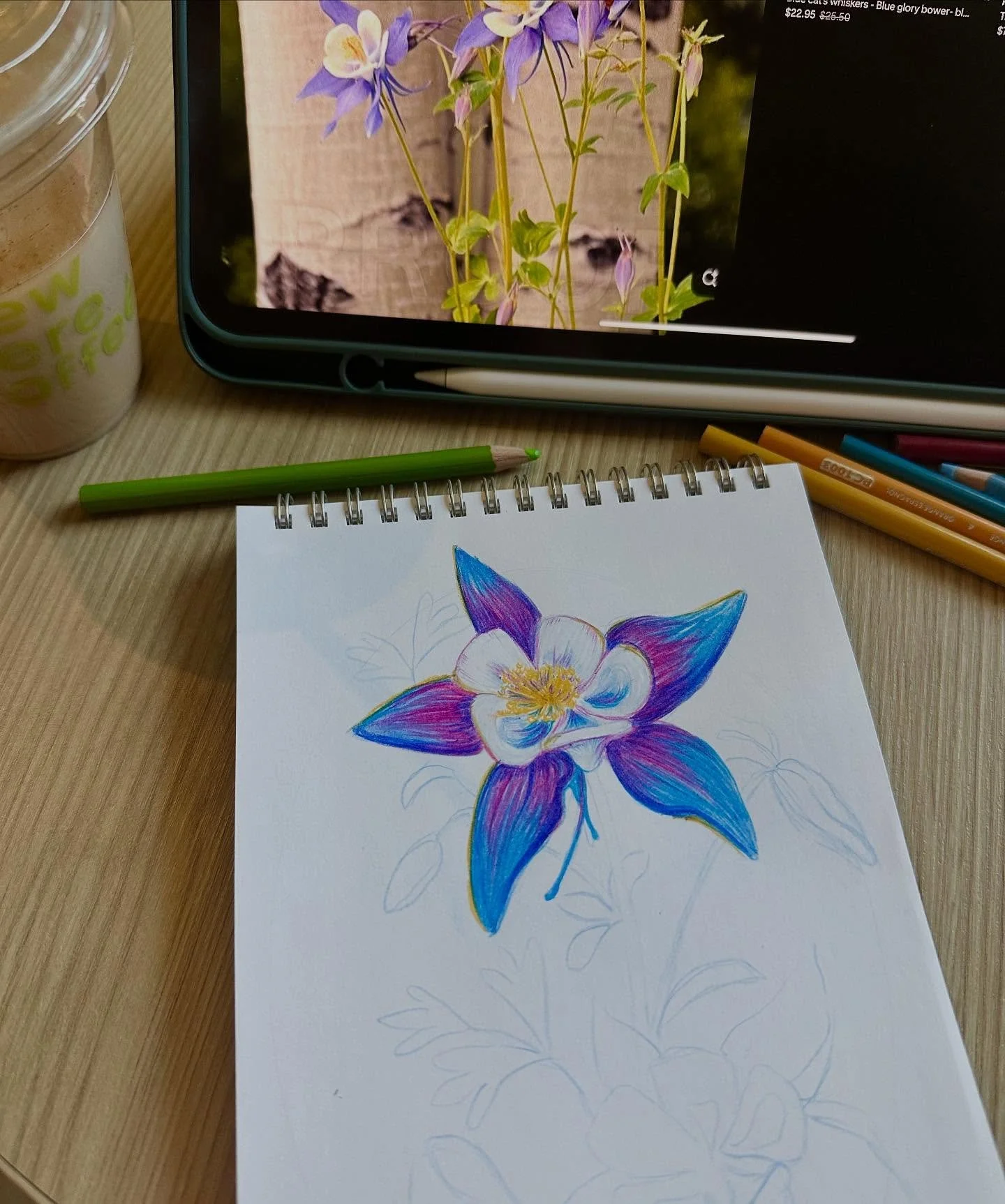 progress (in more ways than one) 🩵