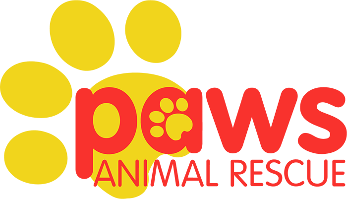 Logo for Paws Animal Rescue featuring a large yellow paw print with the words "paws ANIMAL RESCUE" in red text.