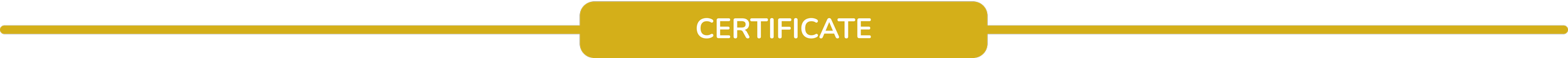 Close-up of a certificate with gold border and the word 'CERTIFICATE' at the top.