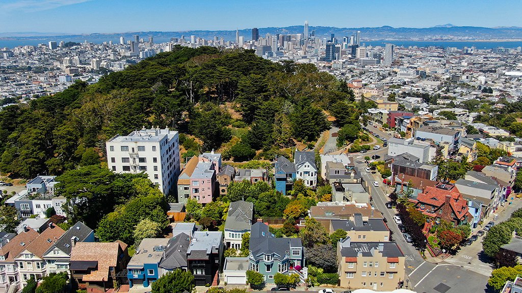 cenic San Francisco skyline above Buena Vista Park homes and streets
