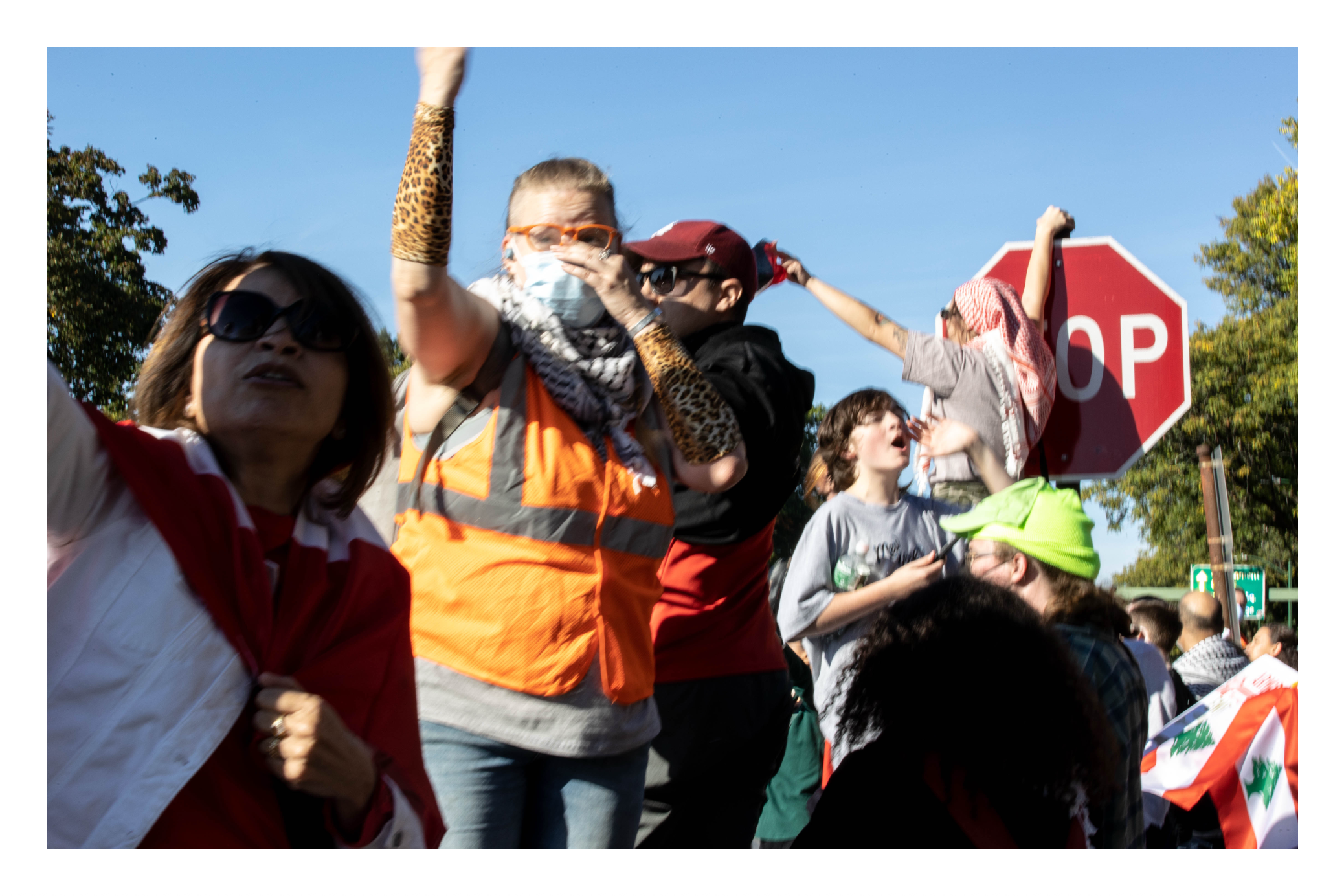 Published Work Highlights