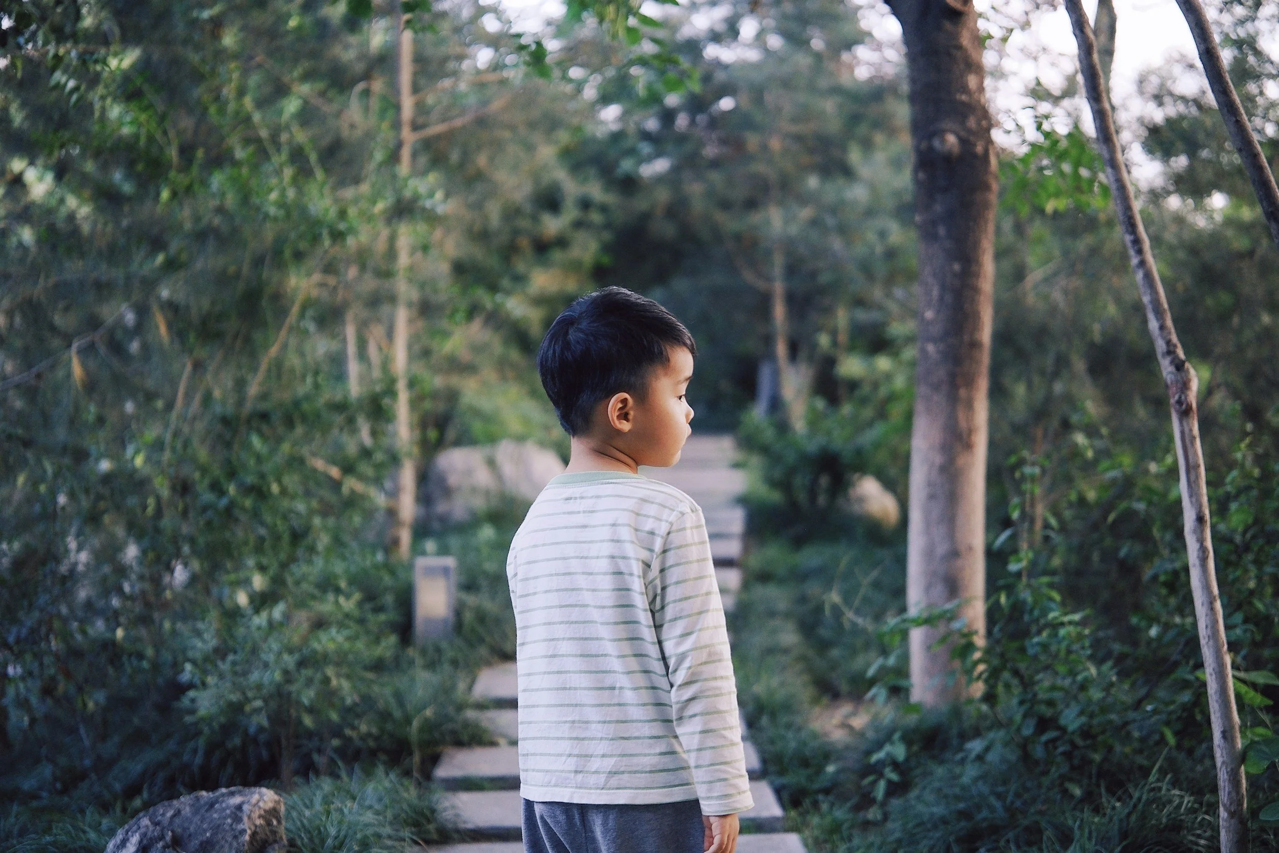 Why I Created Reflections from Recess