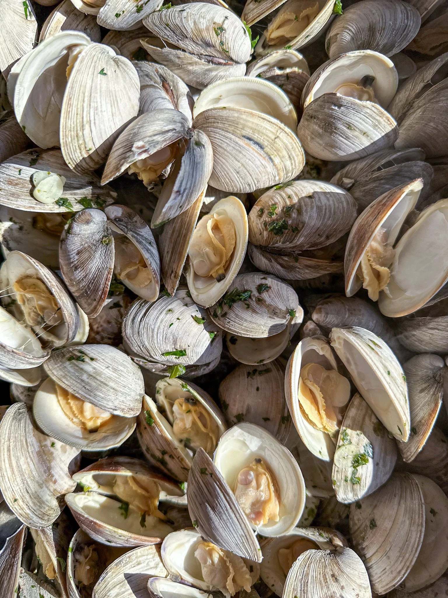 Father's Day Clamsteam