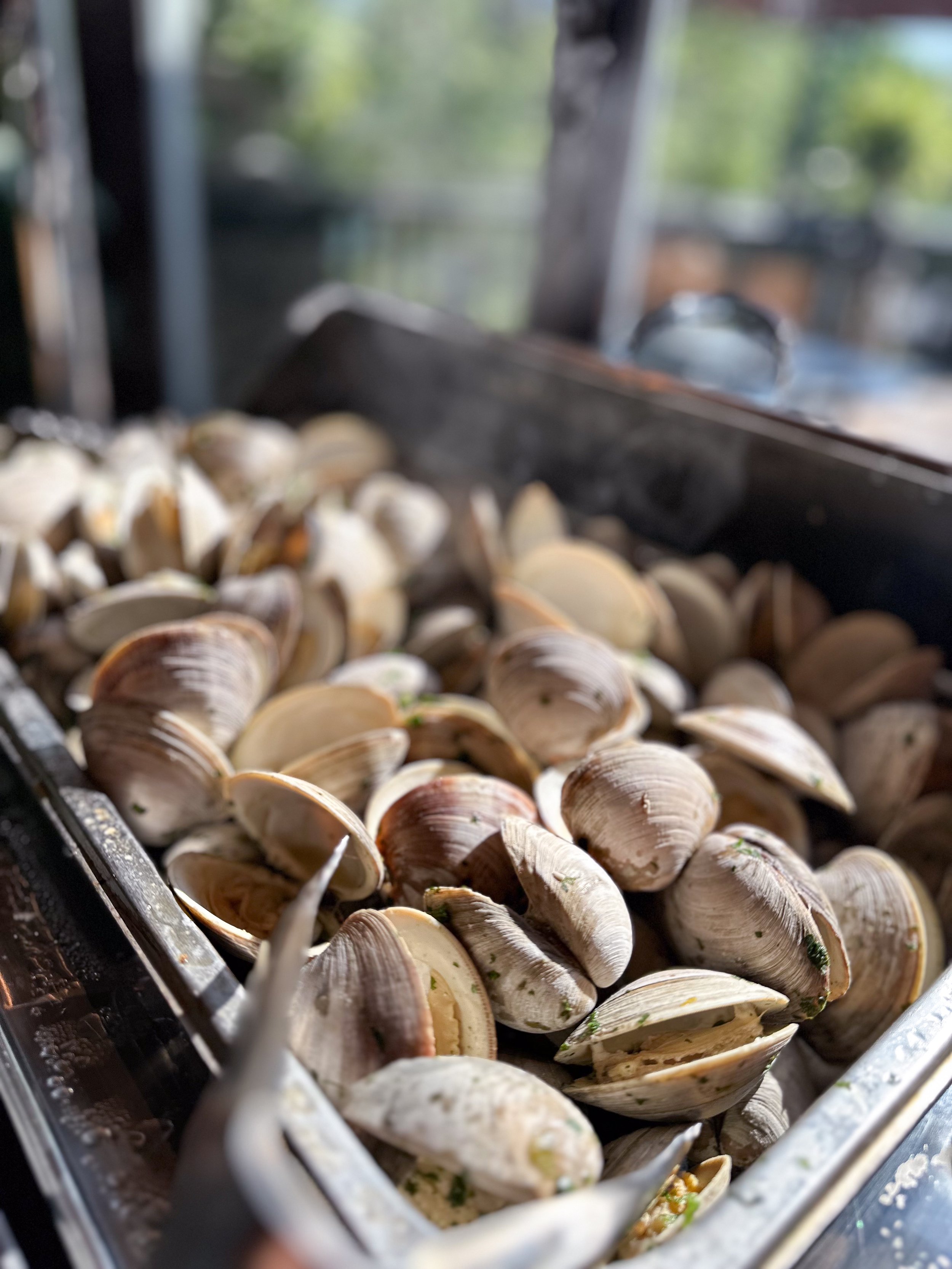 Summerfest Clamsteam