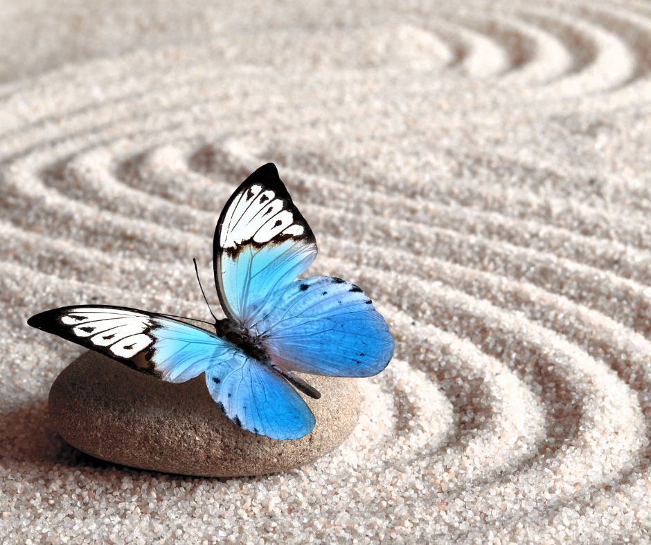 The Journey of Conscious Evolution