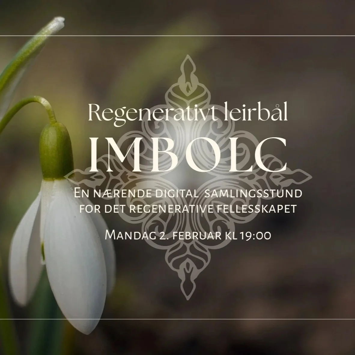 Regenerativt Leirbål (digitalt)