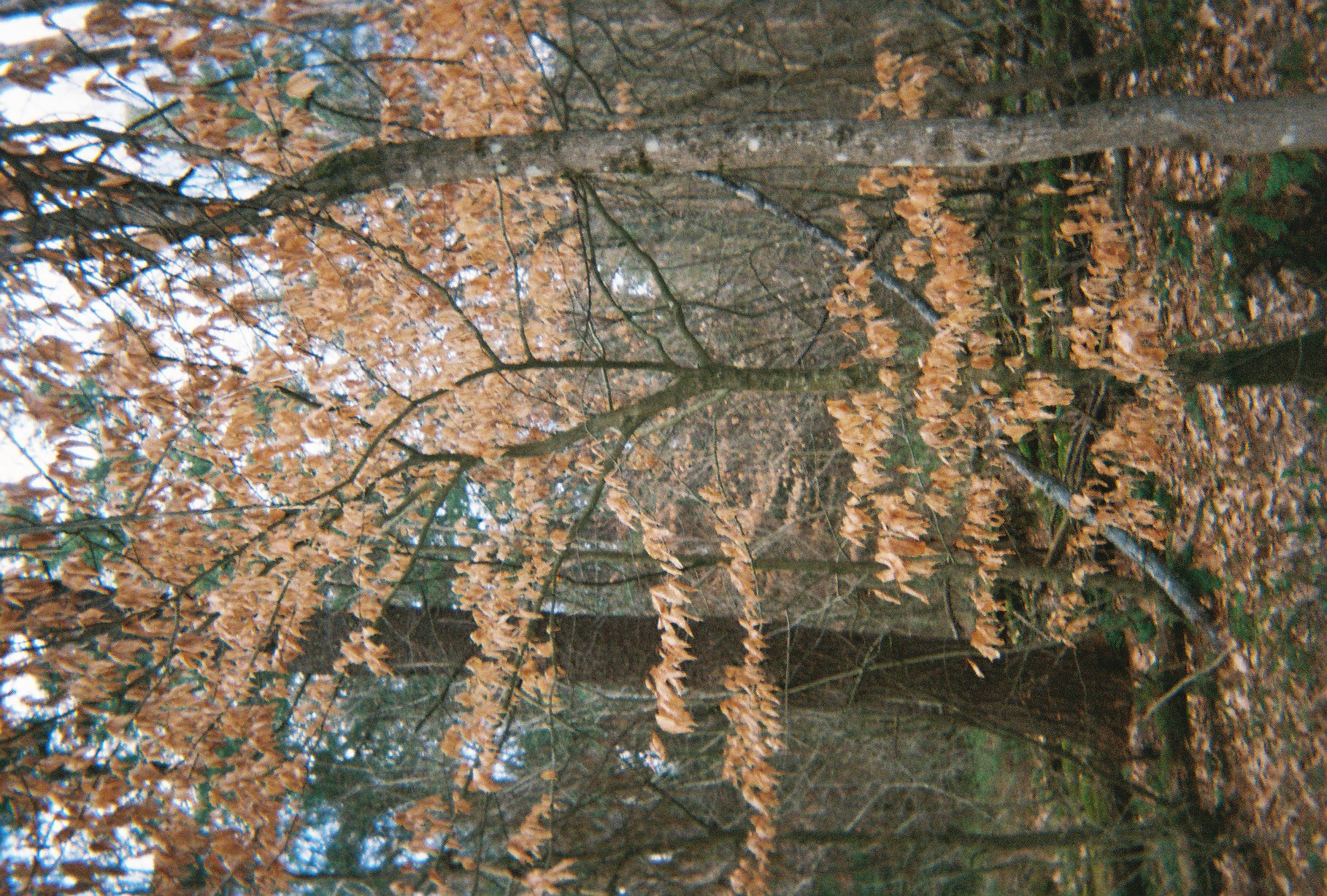 003475-R1-018-7A.jpg
