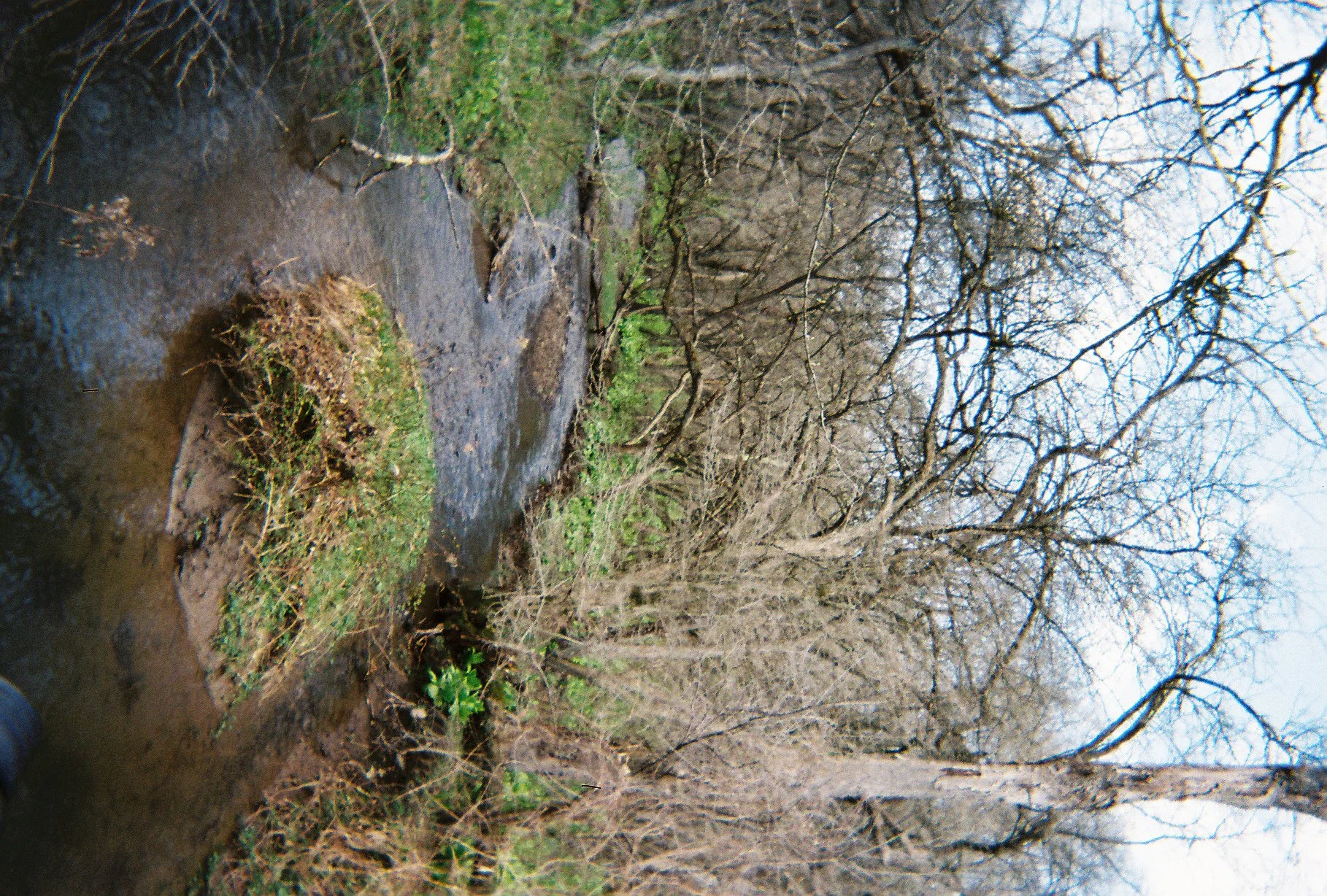 003475-R1-012-4A.jpg