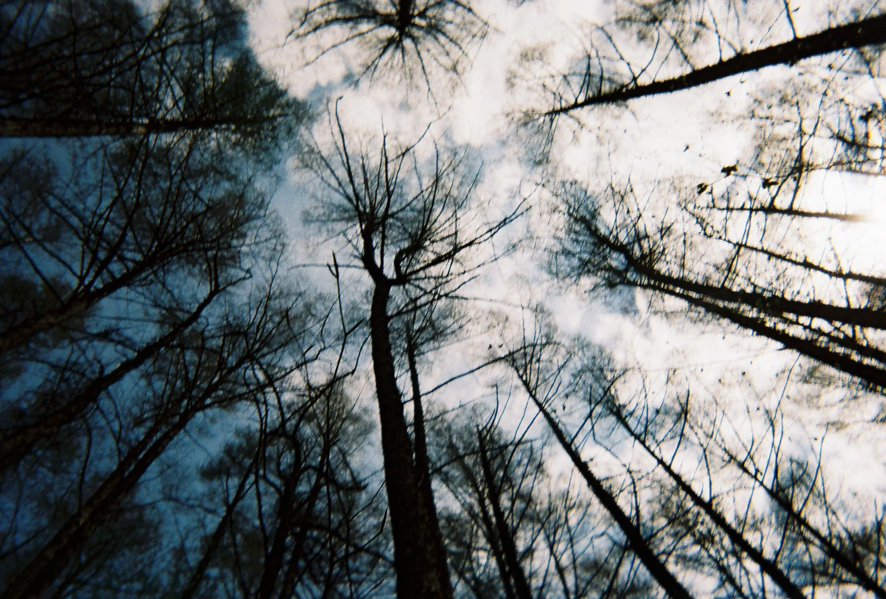 003475-R1-040-18A.jpg