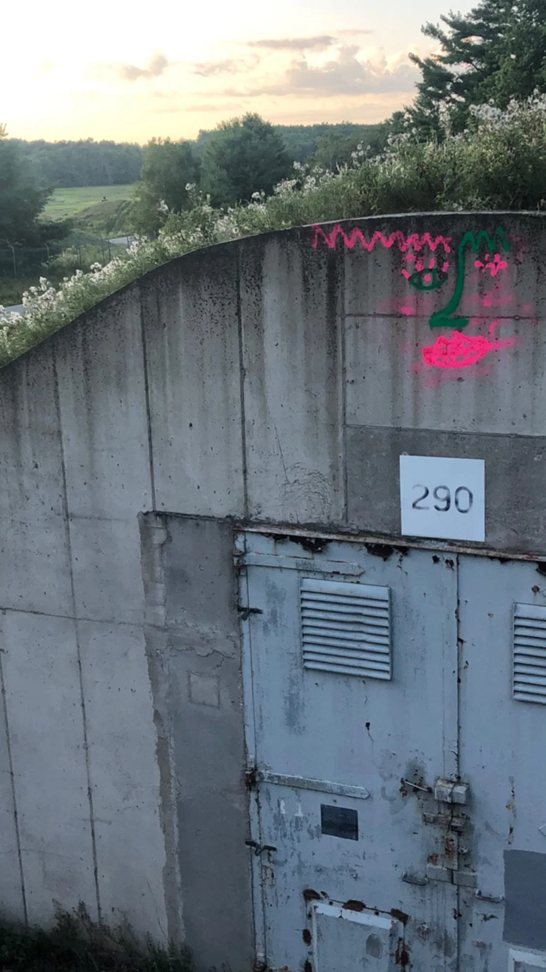 8AC14434-040E-408D-8546-C3FB5DDAC1E6 2.JPG