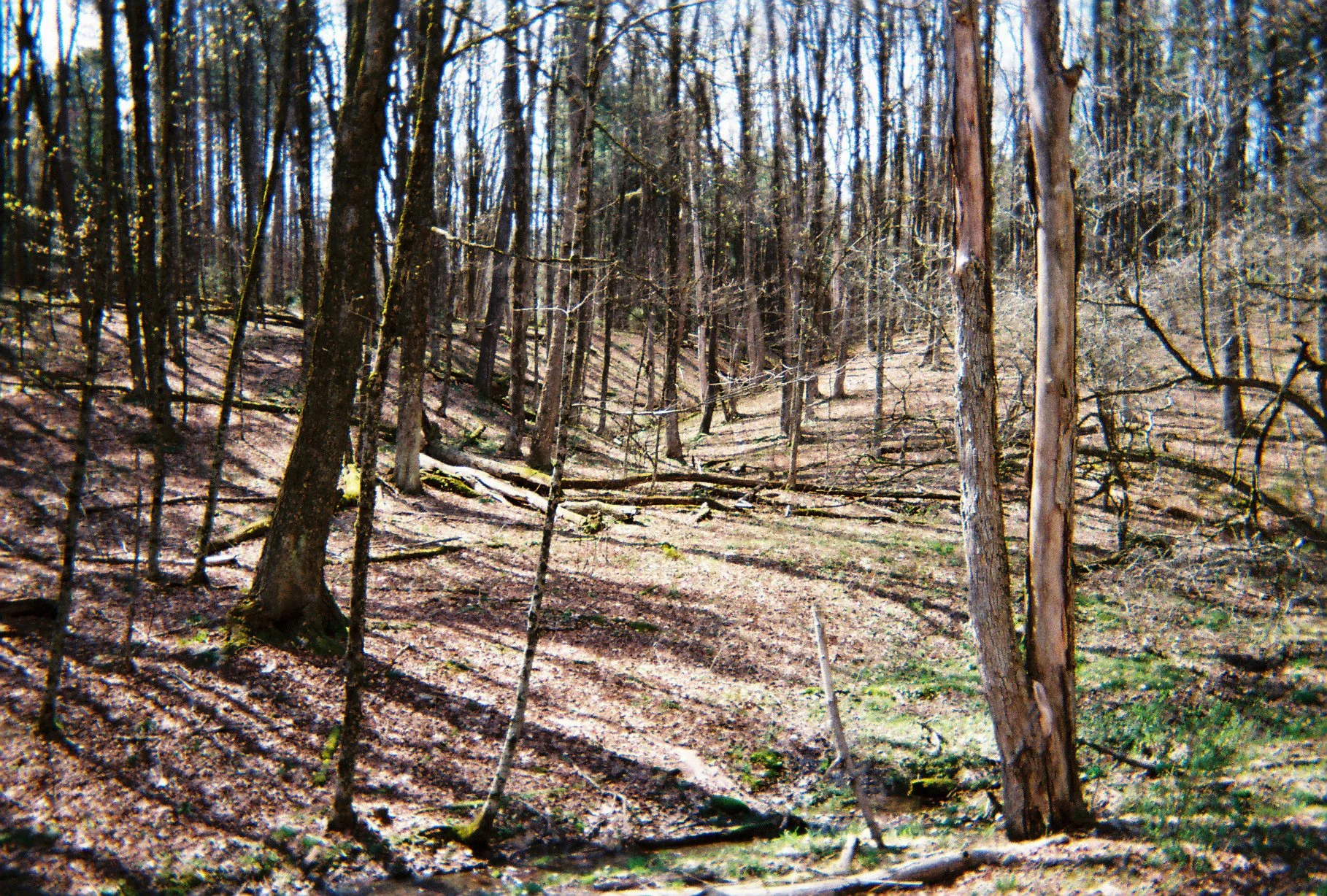 003475-R1-004-0A.jpg