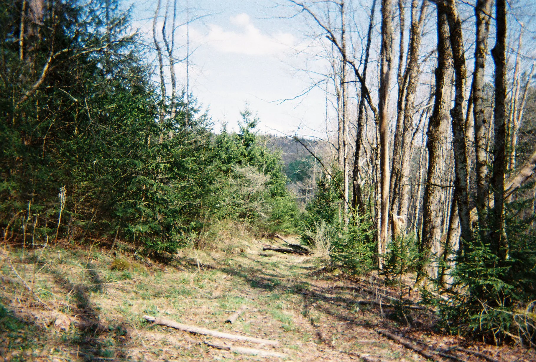 003475-R1-008-2A.jpg