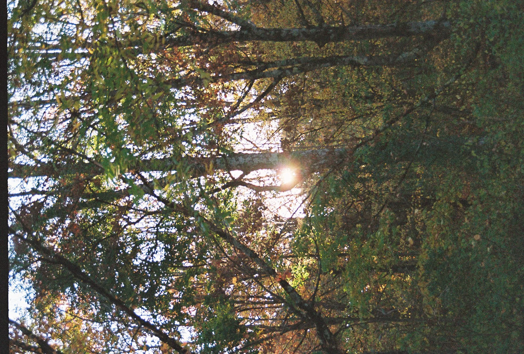 002206-R1-022-9A 2.JPG