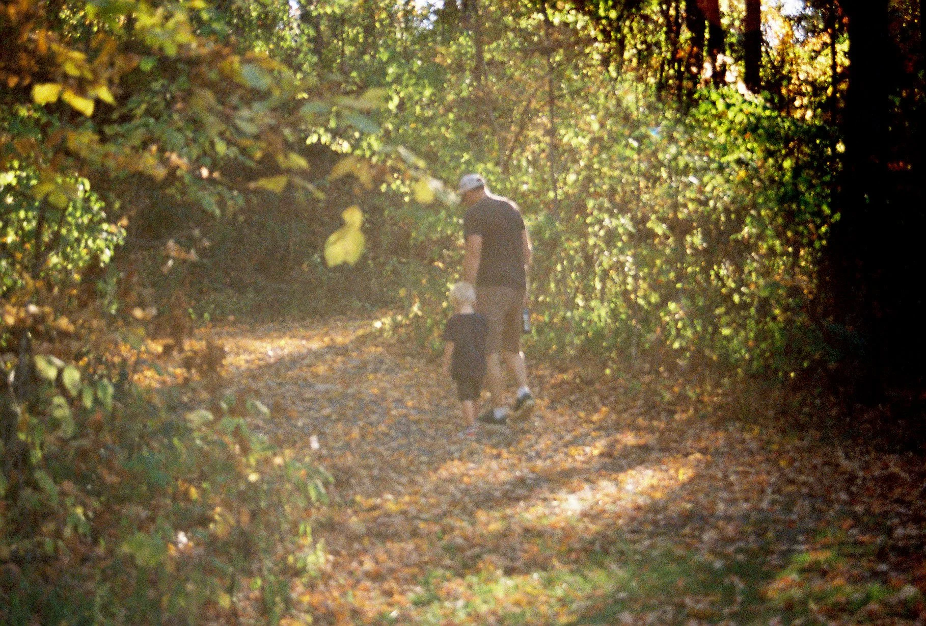 002206-R1-026-11A 2.JPG