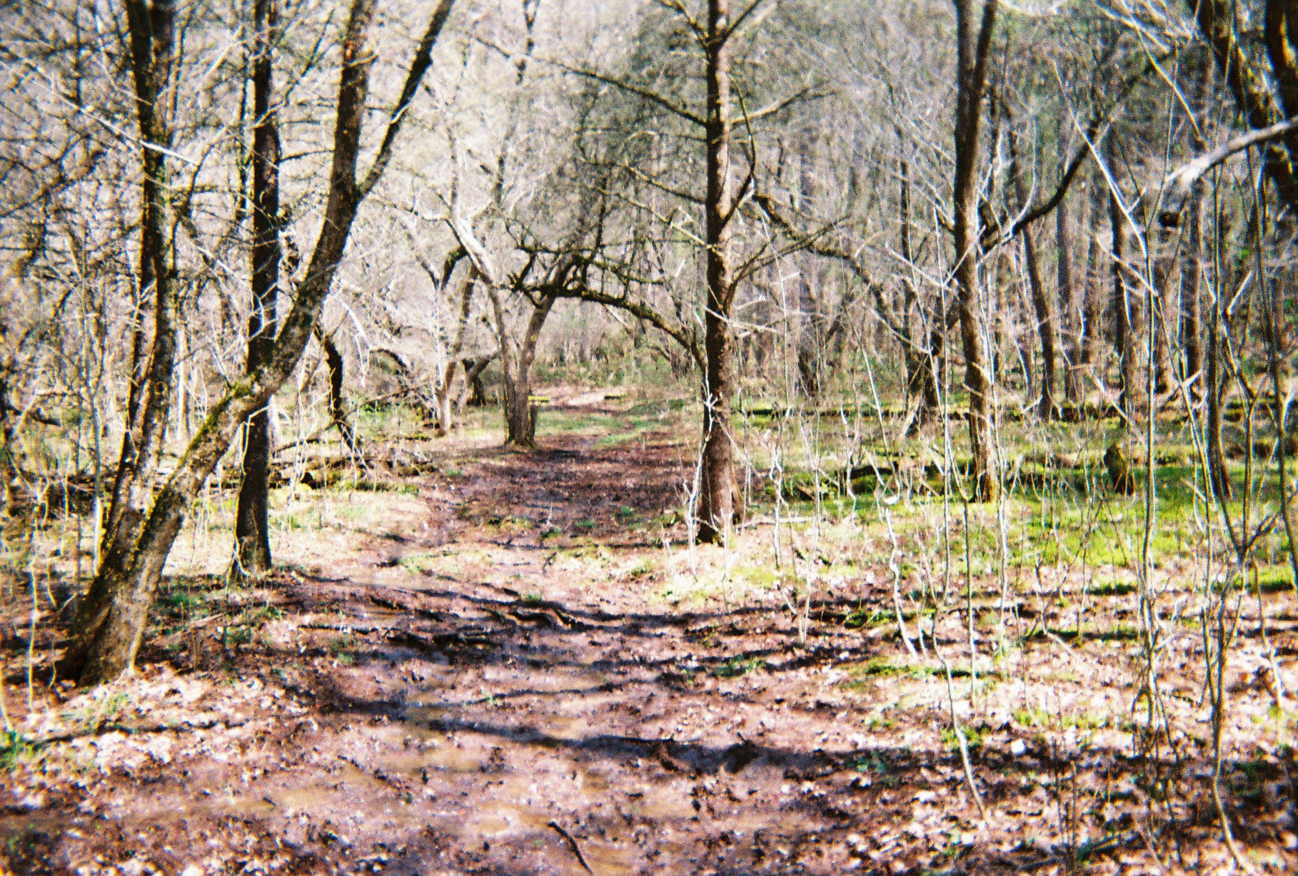 003475-R1-042-19A.jpg