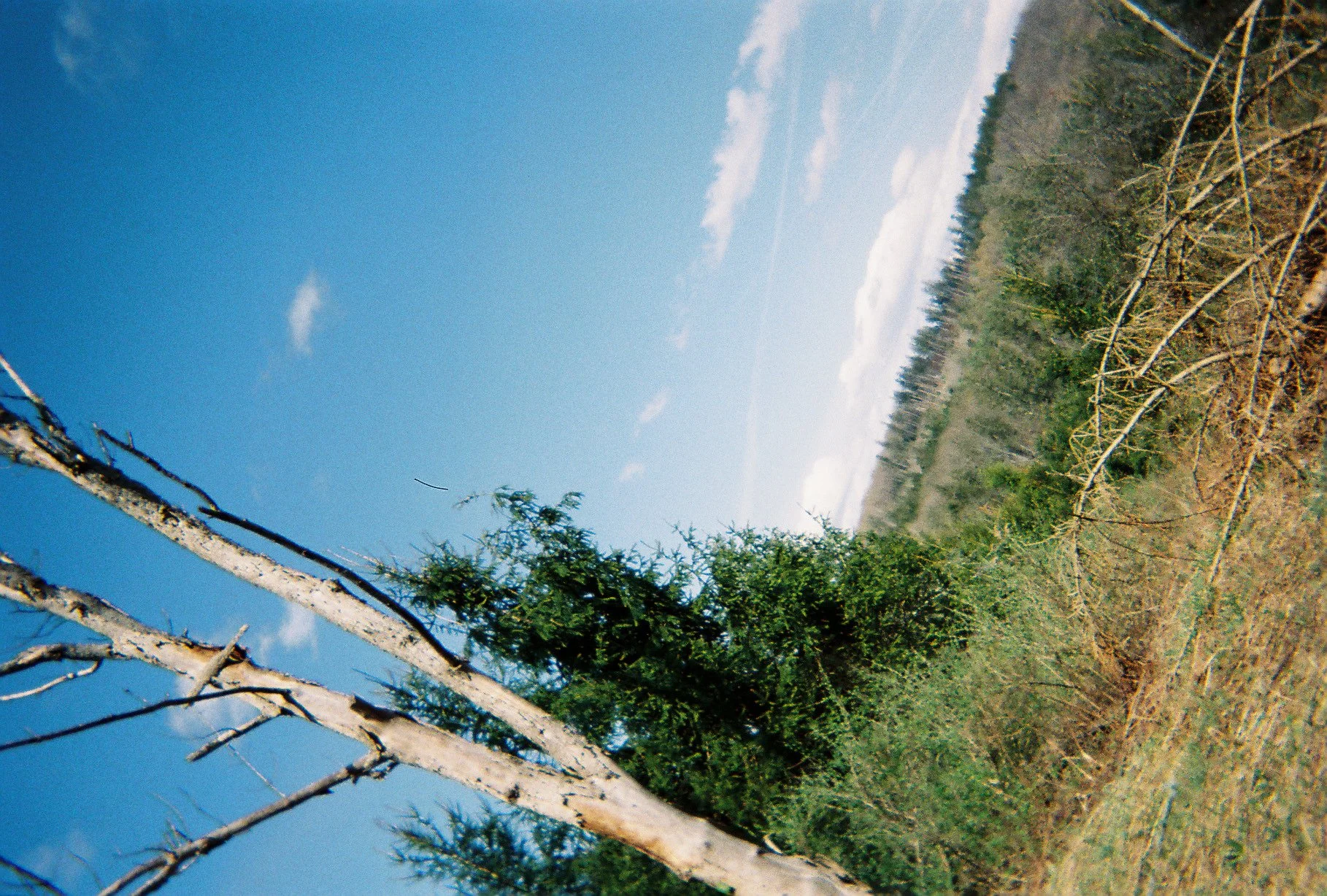 003475-R1-006-1A.jpg