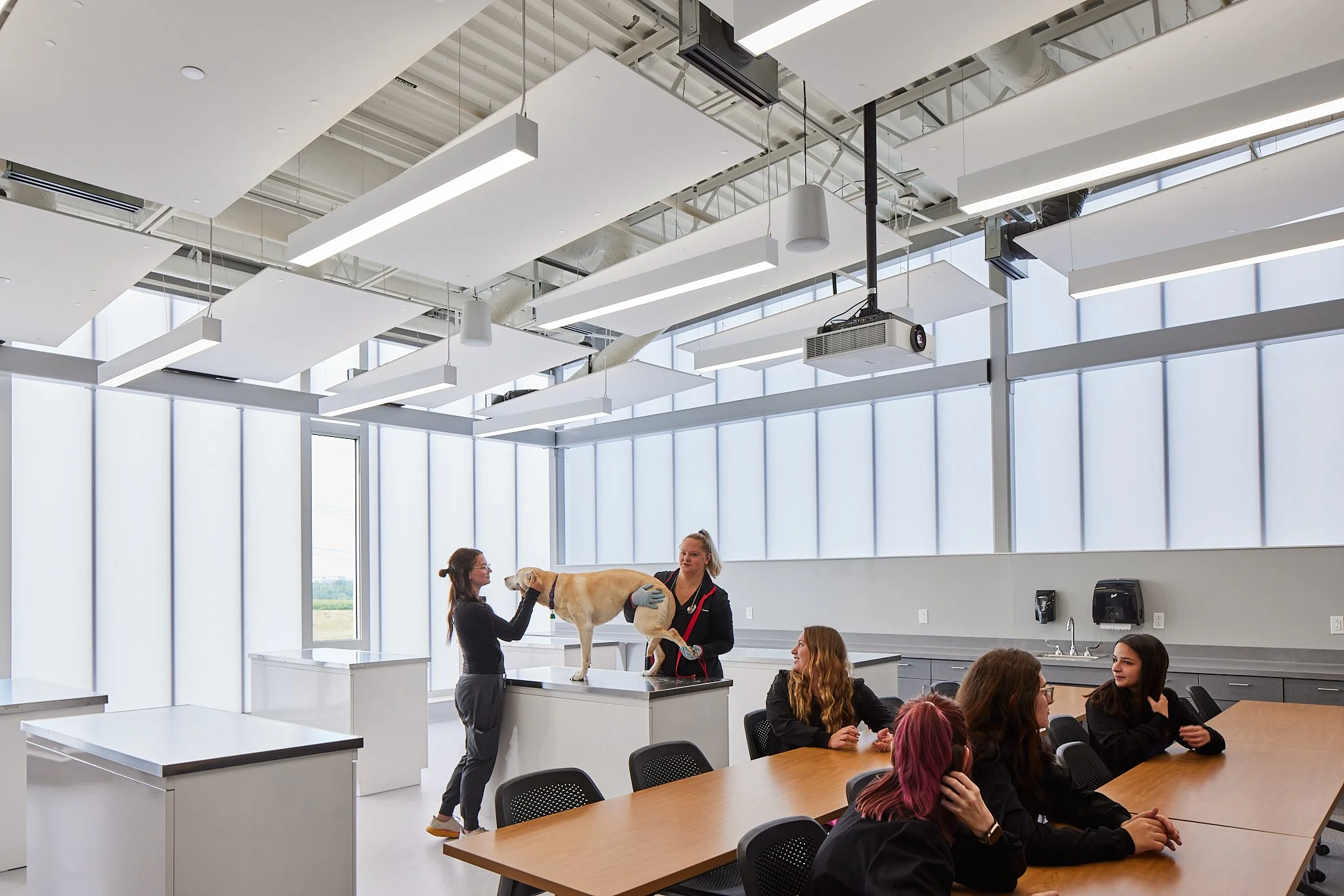  Kirkwood Animal Health  Kirkwood Community College  Cedar Rapids, Iowa 