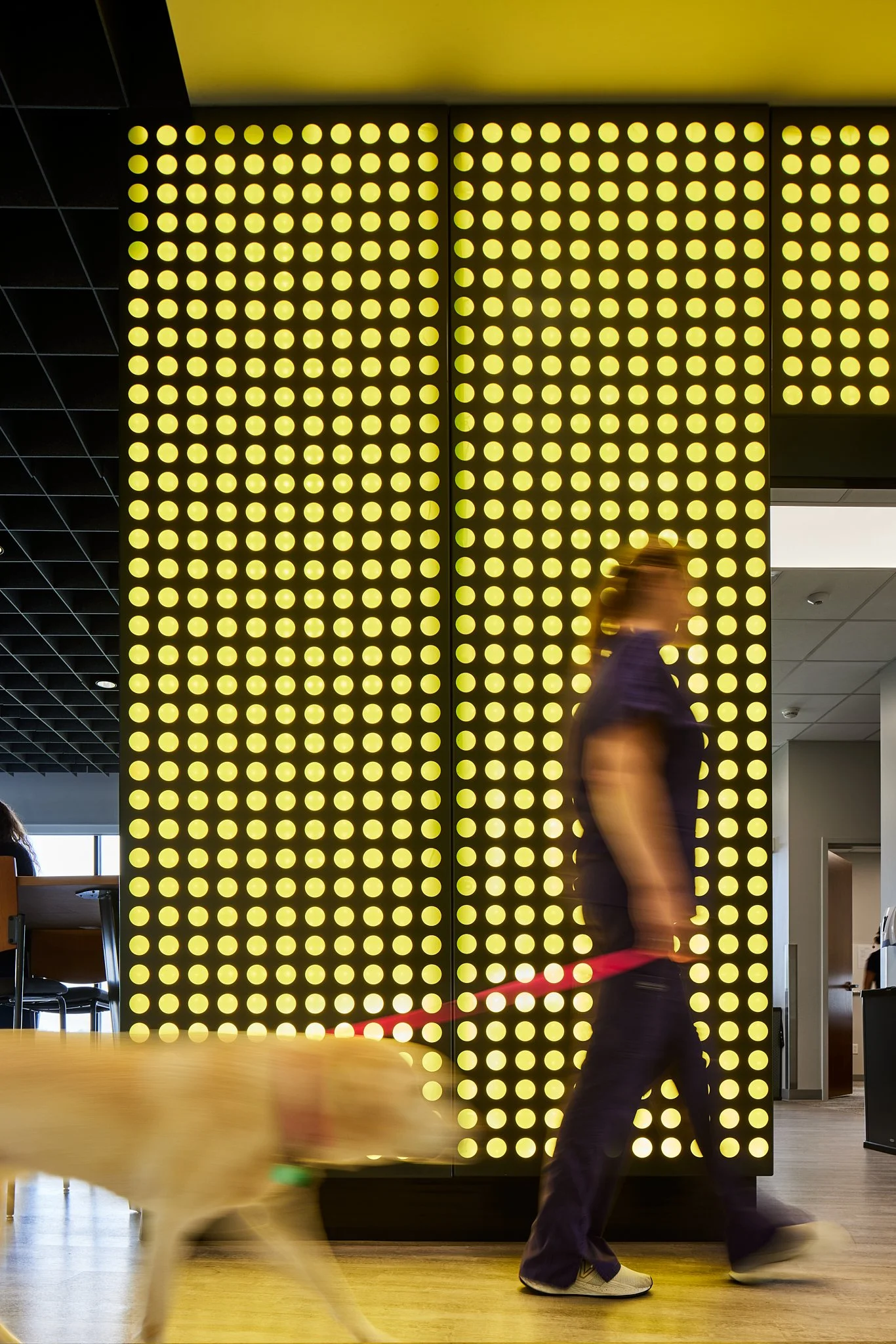  Kirkwood Animal Health  Kirkwood Community College  Cedar Rapids, Iowa 