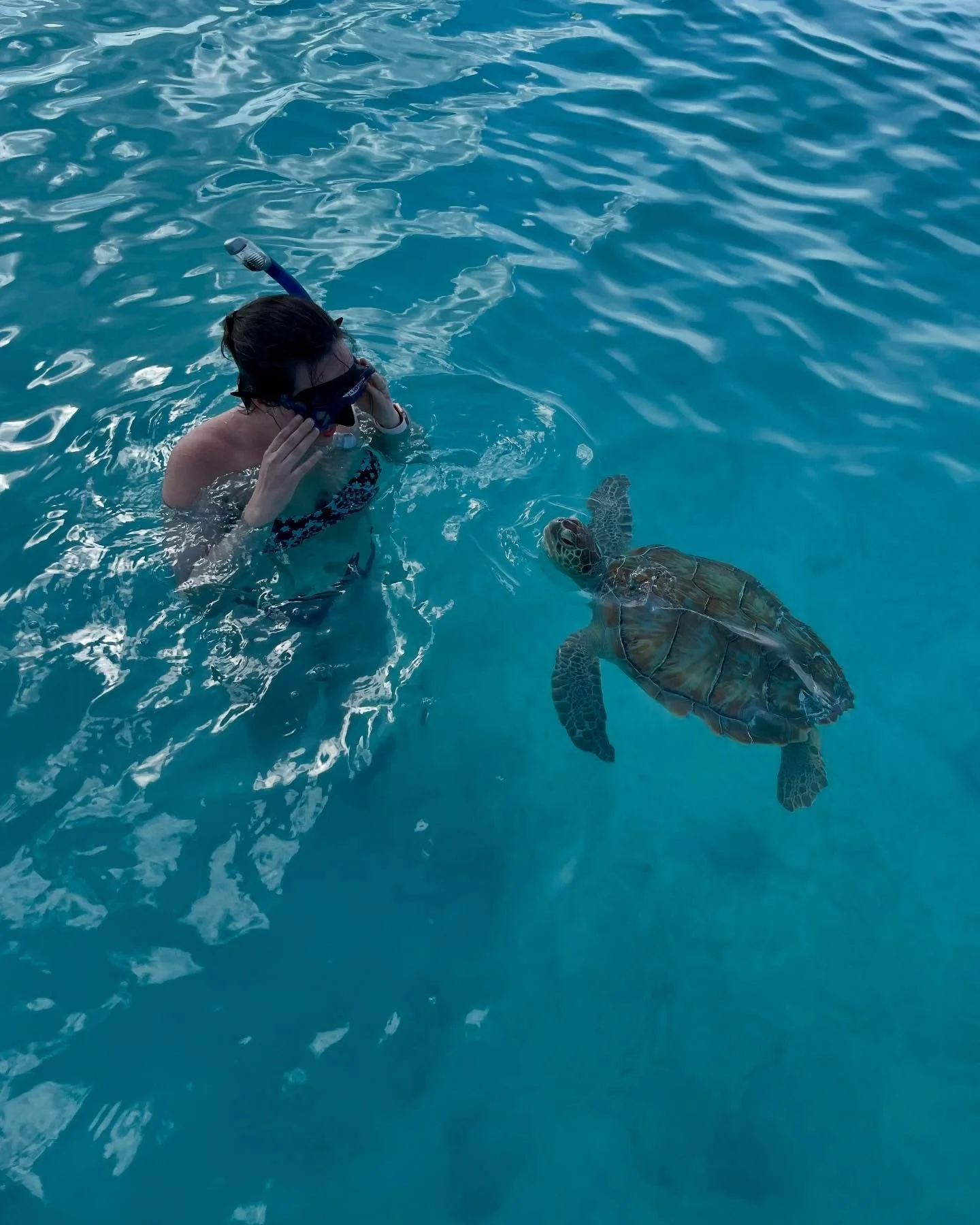 Nothing better than making new friends on vacation #exumasislands #saltwatersunriseexuma