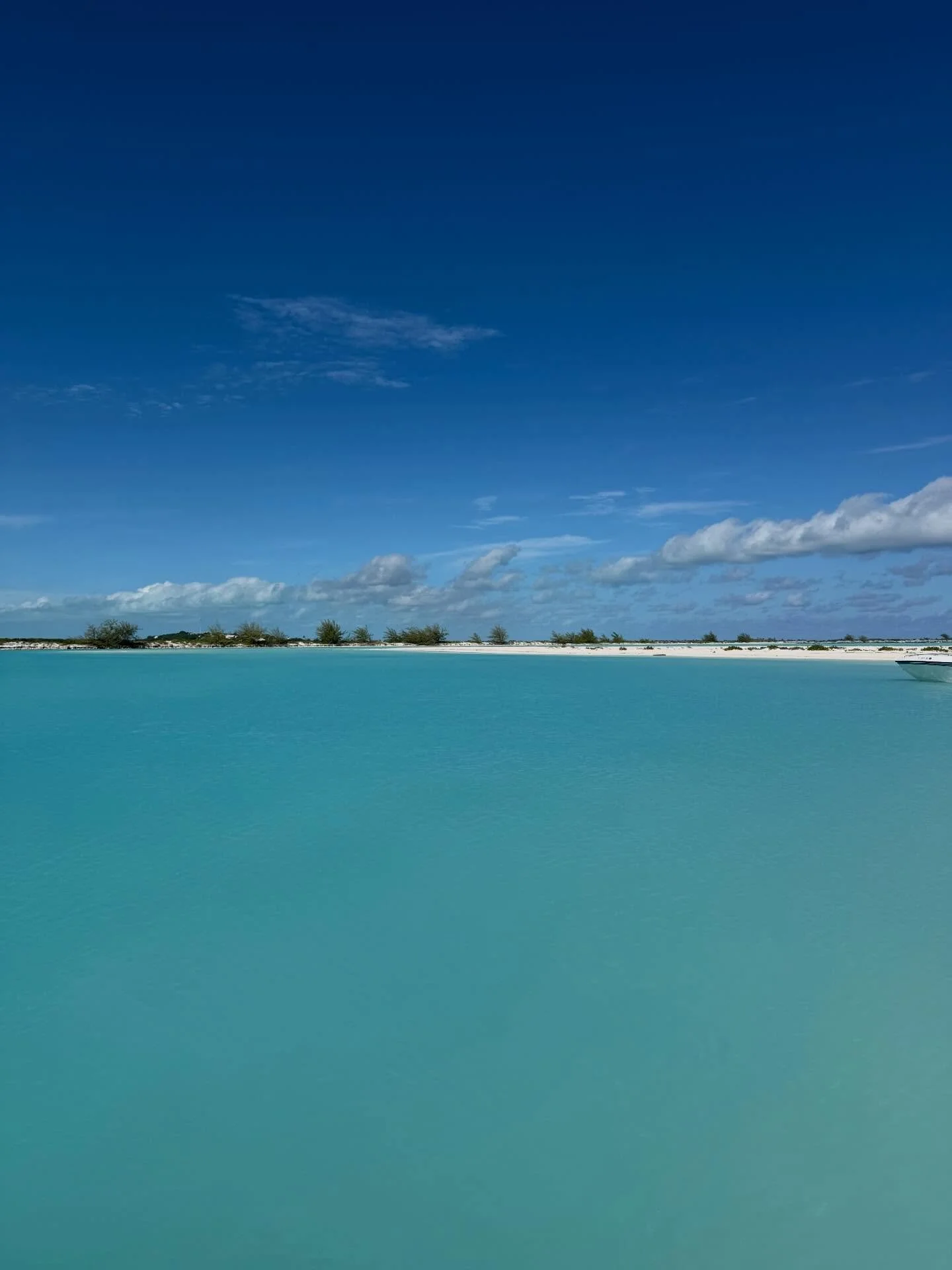 The bluest water&hellip; this is what paradise looks like 🌴🌞🏖️