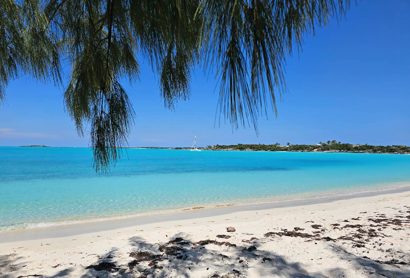 Screenshot 2025-07-01 at 8.13.52 AM.png