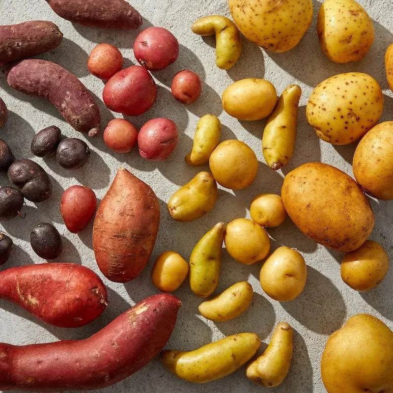 Types of Potatoes: Varieties, Cooking & More