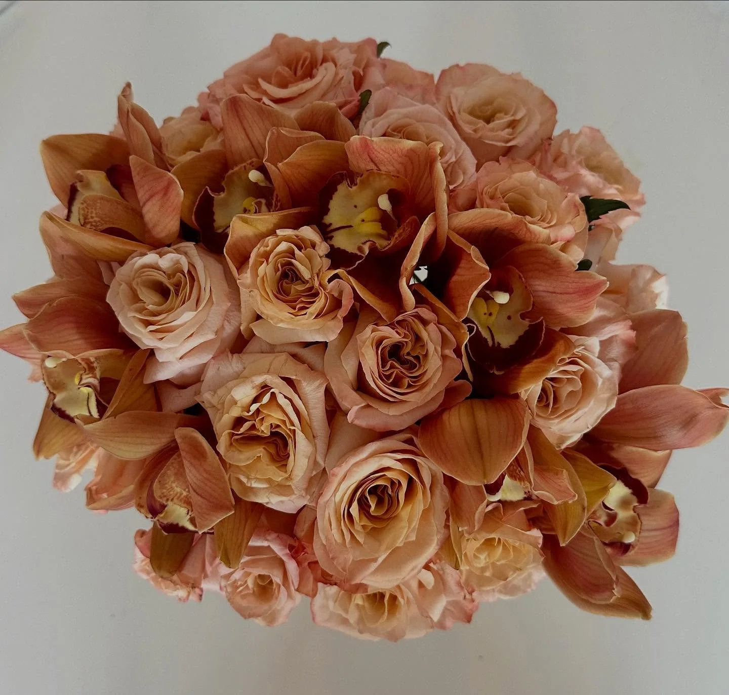 💕🎀🩰🌸

.

.

.

.

#flowerpower #florist #floristofchicago #floral #floraldesign #floraldesignchicago #roses #rosesofinstagram #cybidiumorchid