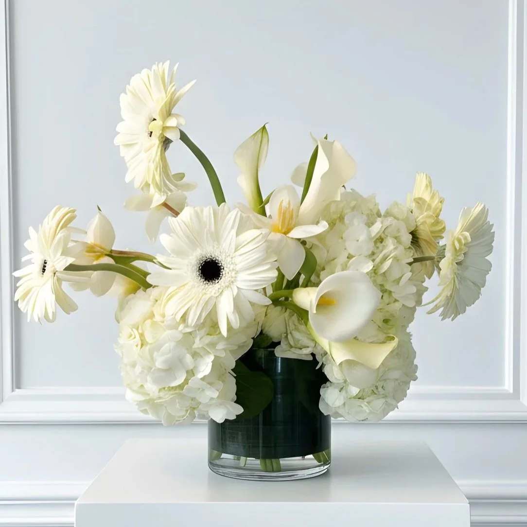 Designer's Choice Monochrome 