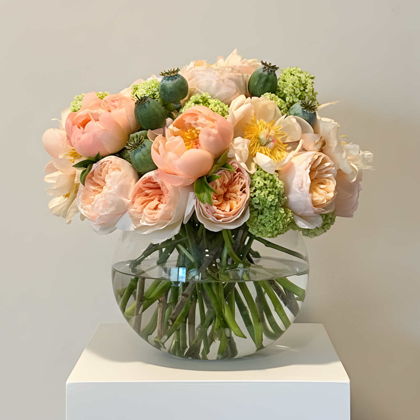 Designer's Choice Light 