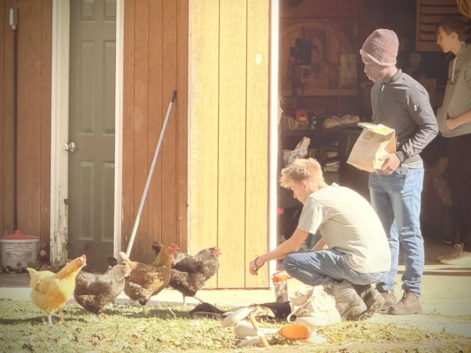 Demontreville Service